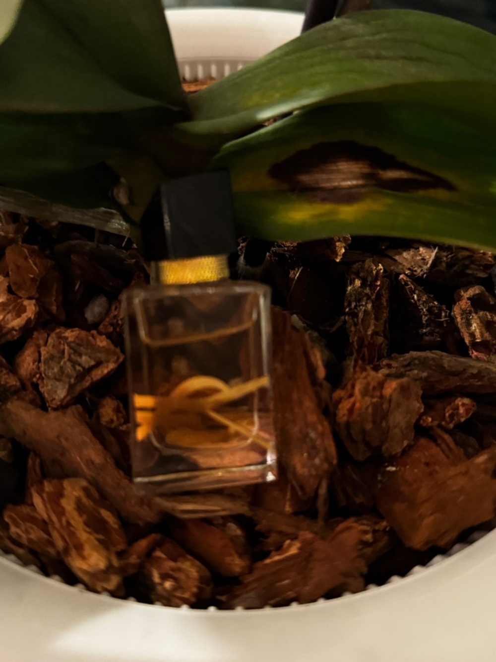Yves Saint Laurent Libre Mini with Vanilla & Orange Blossom - Picture 5 of 6
